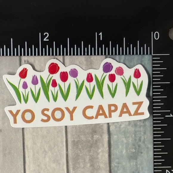 ๐10/$10๐ Spanish Inspirational Reusable Waterproof Vinyl Sticker Decal - Picture 1 of 1